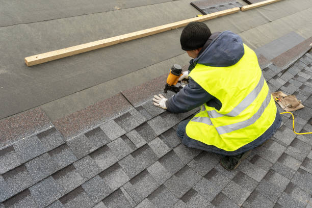 Best New Roof Installation  in Shafer, MN