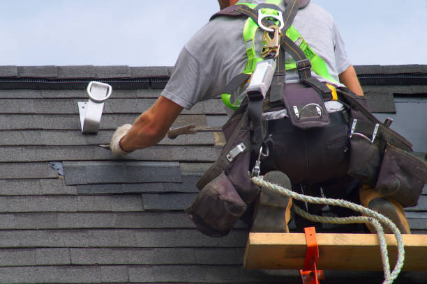 Best Roof Repair Services  in Shafer, MN