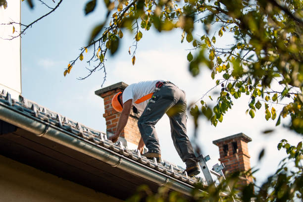 Roof Repair Estimates in Shafer, MN