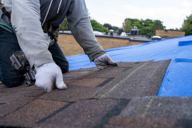 Best Best Roofing Contractors  in Shafer, MN