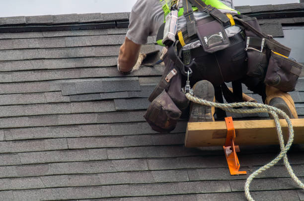 Best Emergency Roof Repair  in Shafer, MN