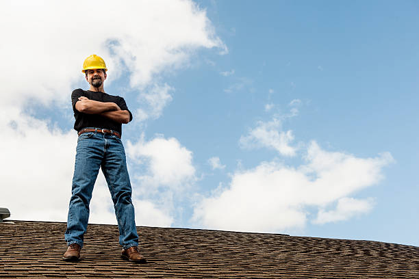 Best Gutter Installation and Roofing  in Shafer, MN