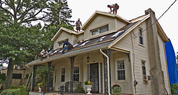 Best Roof Leak Repair  in Shafer, MN