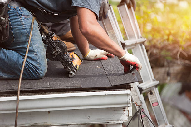 Best Roof Maintenance Services  in Shafer, MN
