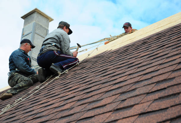 Best Roof Leak Repair  in Shafer, MN