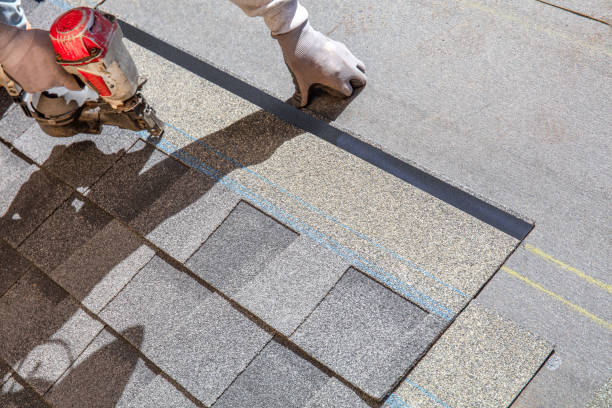 Best Flat Roof Repair Services  in Shafer, MN