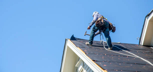 Gutter Installation and Roofing in Shafer, MN
